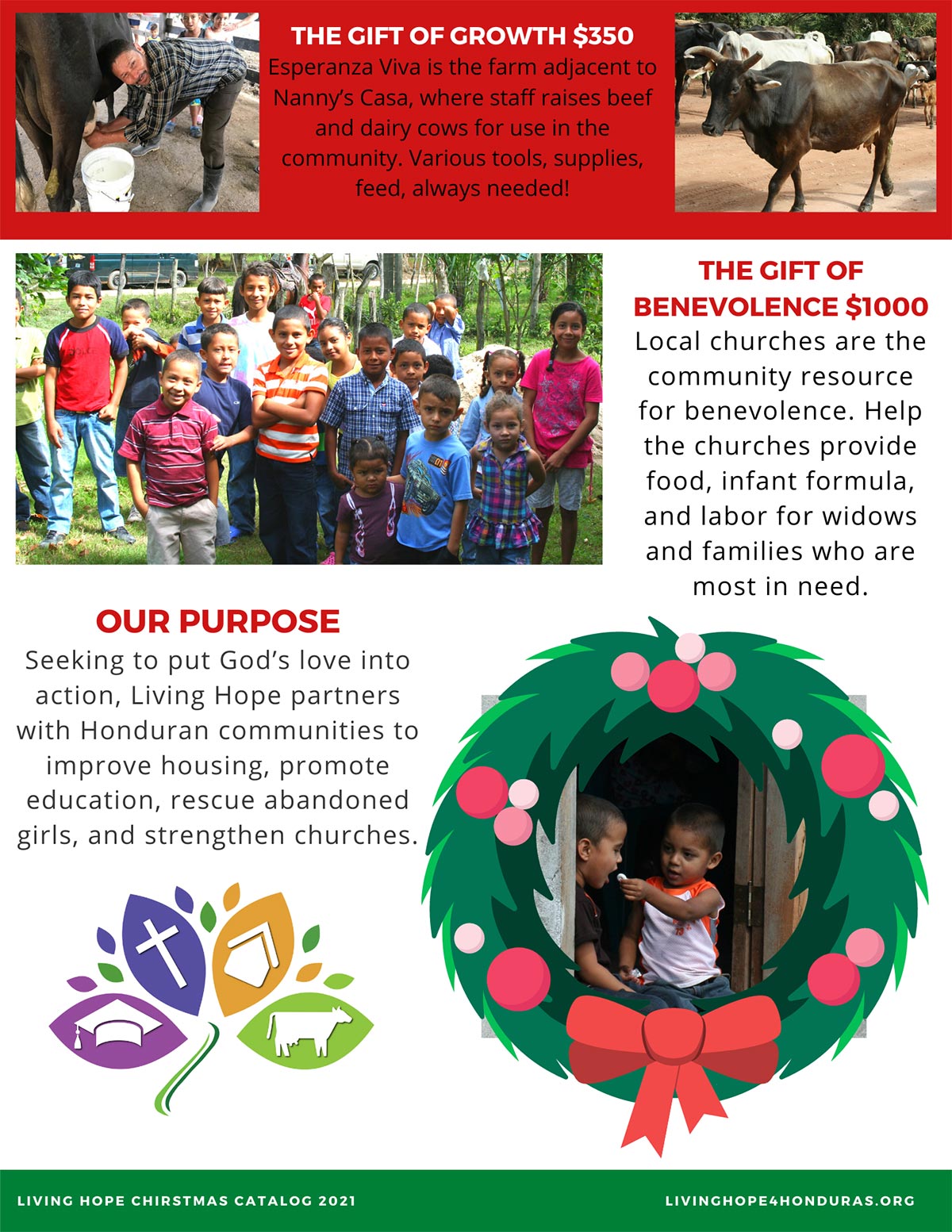 Page 3 of the Living Hope for Honduras Christmas Catalog, which outlines various levels of gifts that donors can contribute.